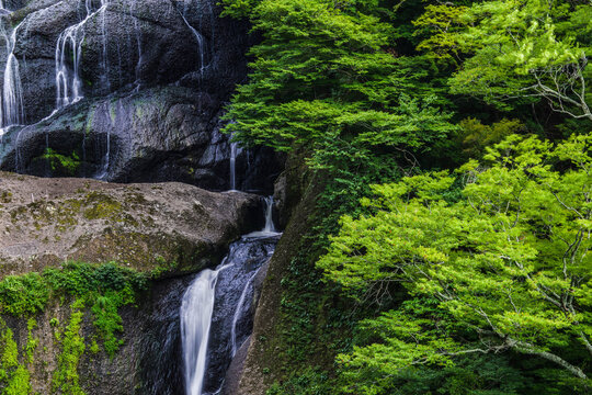 袋田の滝
