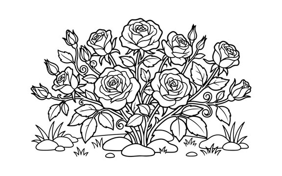 Beautiful line drawing of a blooming rose bush with buds and leaves on a transparent background.