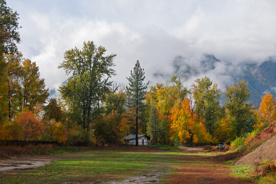 Autumn forest trees and mountain with fog clouds