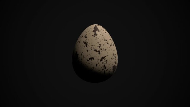 Speckled egg against black background. 3d rendering