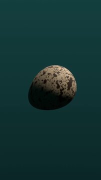 Speckled egg on dark teal background. 3d rendering