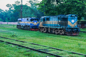 Two Blue Diesel Locomotives Parked on Train Track surrounded by Greenery © CreativeAi