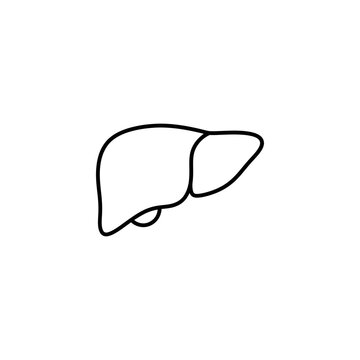 Minimalist liver organ icon linear symbol for medical and health care educational illustration