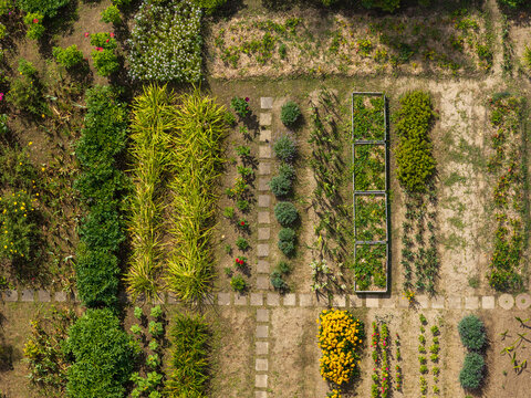 Aerial view of a vibrant garden with organized plant rows, lush greenery, blooming flowers, and stone pathways in Anyksciai, Utena County, Lithuania.