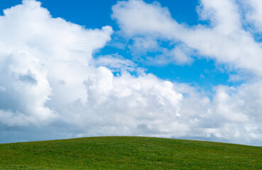 Obraz premium Clouds above green meadow. Green meadow near clouds on vivid blue sky. Peaceful landscape with grassland. Background for nature and environment.