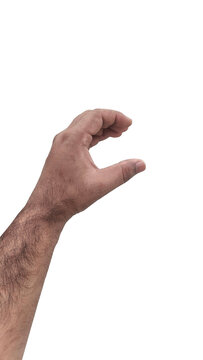 A man s hairy arm reaching out to grasp something a gesture of holding or indicating size with a plain white background and crisp