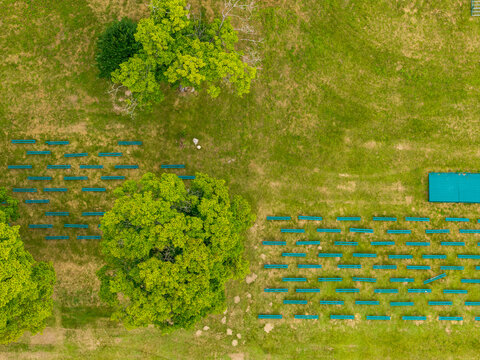 Aerial view of rows of green benches arranged in a grassy field with large trees in Anyksciai, Utena County, Lithuania.