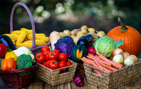 Healthy vegetables and fresh fruits. Farmers market harvest assortment. Organic produce in wicker baskets. Natural food display concept.