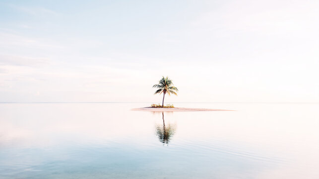 A beautiful solitary palm tree on a tiny tropical island reflecting in the calm, serene ocean at dawn, symbolizing peace, hope, and perfect isolation.