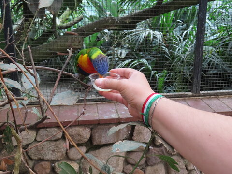 Zoo