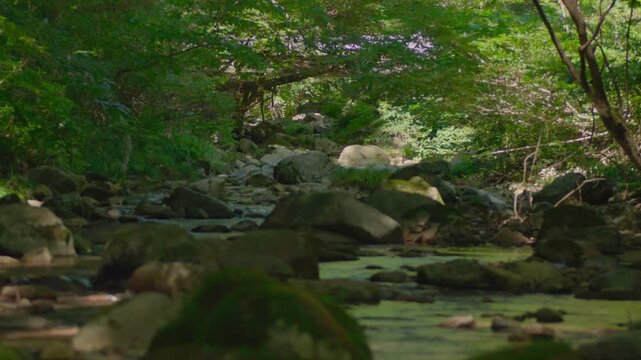 清流の流れ