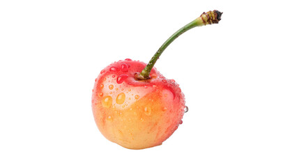 Single fresh ripe yellow and red sweet cherry berry with green stem isolated on transparent background © Hanna