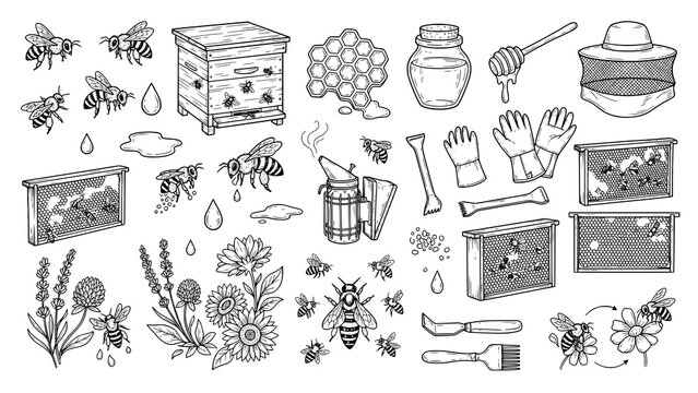 Hand drawn beekeeping collection with bees beehives honeycombs and professional apiculture tools and equipment