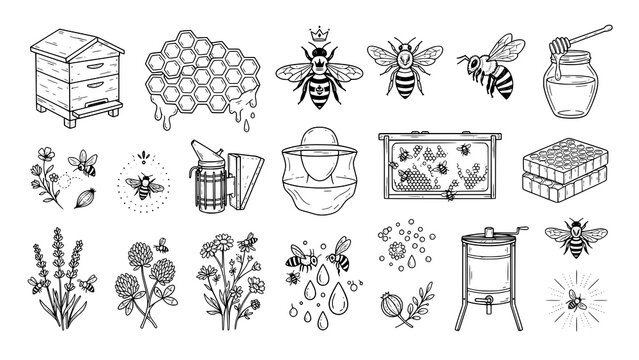 Set of hand drawn beekeeping elements including bees honeycombs beehives and floral botanical illustrations