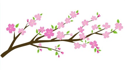 Fototapeta premium Beautiful spring cherry blossom branch illustration on white background for decorative design projects.