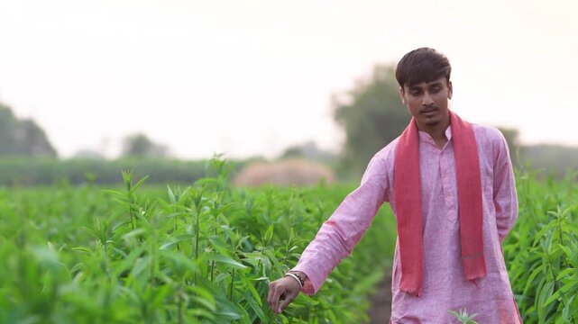 young indian farmer standing at green agricultural field