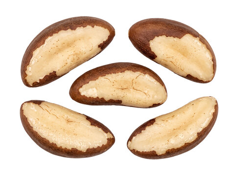 Brazil nuts shelled organic food isolated on black background macro view raw healthy snack ingredient high protein nutrition product group whole kernels natural agriculture macro studio photography