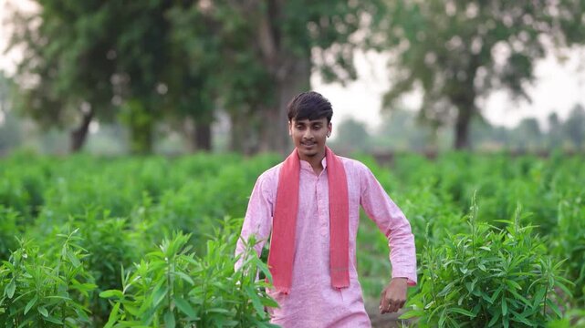 young indian farmer standing at green agricultural field