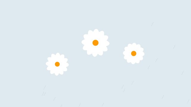 Three simple white flowers with yellow centers on a soft light blue background