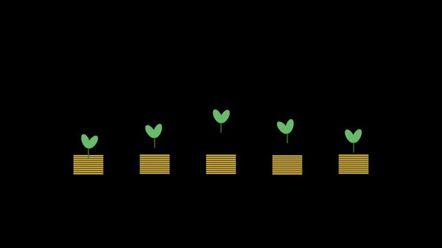 Five small green plants growing out of stacks of gold coins on a black background representing financial investment and growth