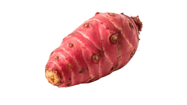 Single fresh raw exotic red oca tuber root vegetable variety isolated on transparent background cut out