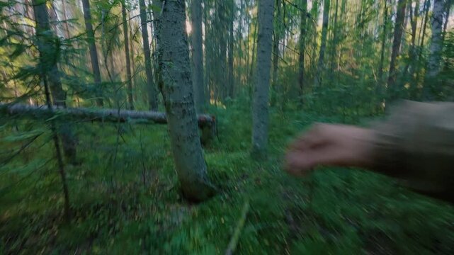 A man runs through the woods through the bushes and looks around, fearing persecution. A tourist is running away from danger in the taiga. The instinct of self-preservation. From the first person.