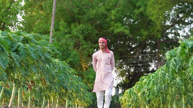 young indian farmer standing at green papaya field