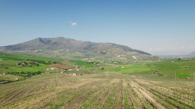 Aerial footage shows neat vineyard rows spread across rolling farmland below distant hills in rural Sicily.