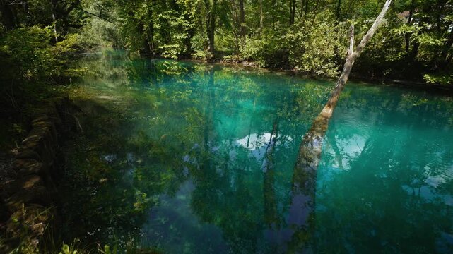 Turquoise river water, lush green trees and sky reflections at Sorgenti della Santissima, North Italy.