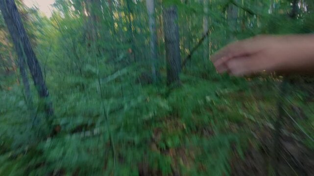 A man runs away from danger in the forest and climbs a fallen tree. A traveler escapes from pursuit in the taiga, fearing for his life. The instinct of self-preservation. From the first person.