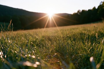 Obraz premium The Sunlit Meadow Field at Dusk Over Rolling Hills and Grass