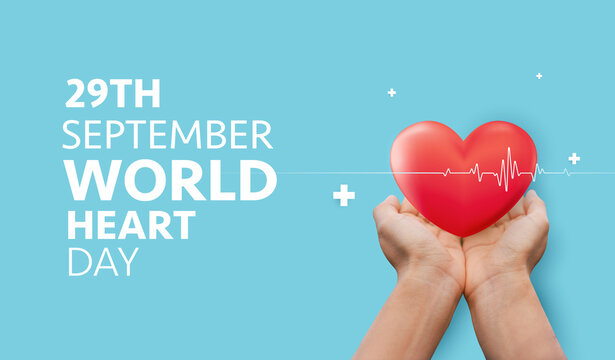 World Heart Day banner vector background with red anatomical heart in hand and heartbeat line for 29th September cardiovascular health awareness, cardiology medical care and campaign promotion design