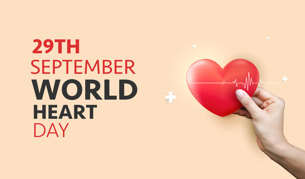 World Heart Day banner vector background with red anatomical heart in hand and heartbeat line for 29th September cardiovascular health awareness, cardiology medical care and campaign promotion design