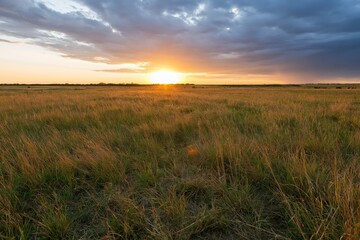 Obraz premium The Sunrise Over Expansive Grassland At Dawn With Open Horizon