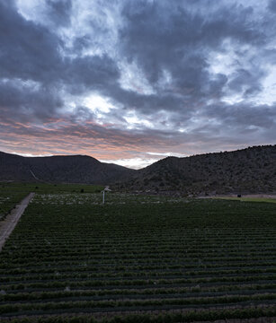 Aerial view of vineyards nestled among rolling hills under a dramatic sunset sky in Parras de la Fuente, Coahuila de Zaragoza, Mexico.