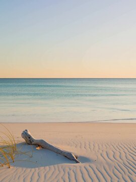 Peaceful sandy beach with driftwood and calm ocean horizon coastal nature background