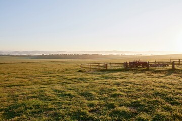 Obraz premium The Dawn Pasture with Wooden Fence and Grazing Horses at Sunrise