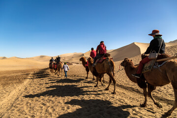 Fototapeta premium Camel riding classes are available at the Mingsha Mountain Scenic Area in Gansu.