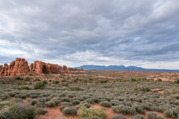 Naklejka premium The Red Rock Desert Landscape Under Cloudy Sky and Distant Blue Mountains