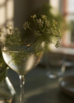 Close-up of a martini glass filled with a clear liquid. the glass is placed on a table with other glasses and plates in the background.