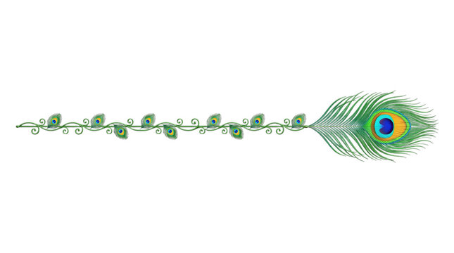 Peacock feather decorative border with swirl elements isolated on transparent background