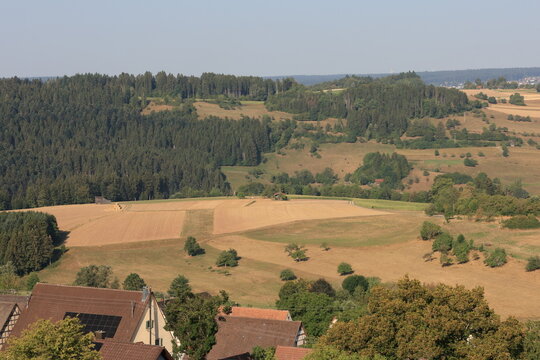D&uuml;rre und Trockenheit im Sommer 2026 im Schwarzwald