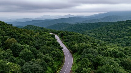 Obraz premium The Winding Road Through Verdant Mountains and Misty Forest Valley