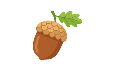 Oak acorn with leaf is a colorful vector illustration on a white background © Nasima