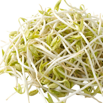 Fresh Mung Bean Sprouts Pile Isolated On Transparent Background
