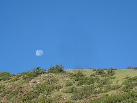 Moon visible in clear blue sky over a grassy hill