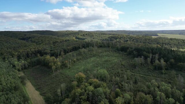 An expansive drone shot over the green hills and dense forests of Thuringia, Germany. Witness the natural beauty alongside areas of recent tree clearing, showcasing a dynamic landscape.