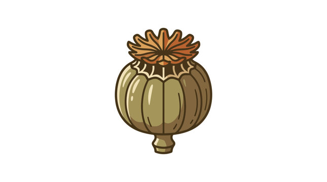 Poppy seed pod rendered as a detailed botanical illustration with earthy green and orange tones on white.