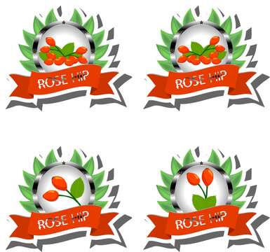 Berry theme from set juicy delicious rose hip of various sizes