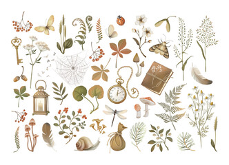 Naklejka premium The forest set. Forest plants, insects, mushrooms, a lantern, a notebook on a white background.